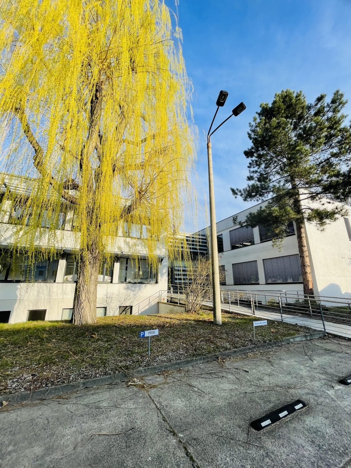 Ein Bild eines Gebäudes mit einem leuchtend gelben Baum im Vordergrund, einer Straßenlaterne und einem klaren blauen Himmel im Hintergrund.